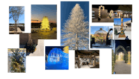 a collage of pictures of various christmas trees